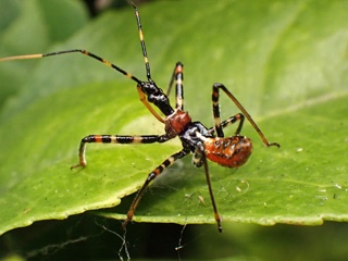 P1265770a.jpg